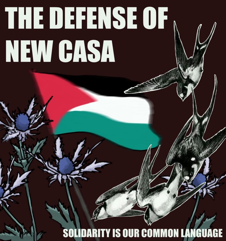 Text: "The defense of new casa - solidarity is our common language", Image: Flag of palestine